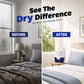 Dry Any Room Instantly! No-Noise One-Touch Mini Dehumidifier