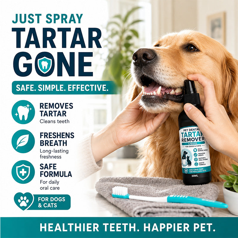 Clean Pet Teeth Instantly! No-Brush Fresh-Breath Dental Spray