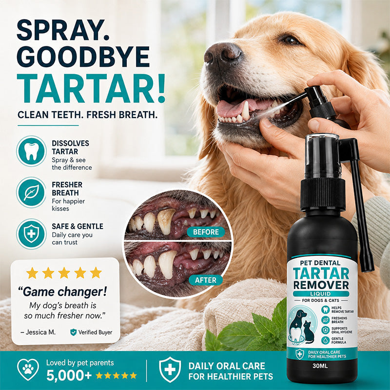 Clean Pet Teeth Instantly! No-Brush Fresh-Breath Dental Spray