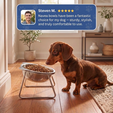 Feed Dogs Comfortably Instantly! No-Strain 15° Tilted Steel Bowl