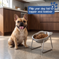 Feed Dogs Comfortably Instantly! No-Strain 15° Tilted Steel Bowl
