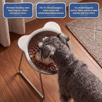Feed Dogs Comfortably Instantly! No-Strain 15° Tilted Steel Bowl