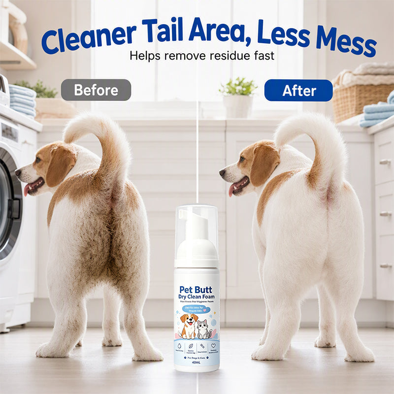 Refresh Pet Fur Instantly! No-Rinse Quick Hygiene Foam