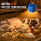 Warm Chicks Instantly! Thermostat Fan-Forced Pet Heat Lamp