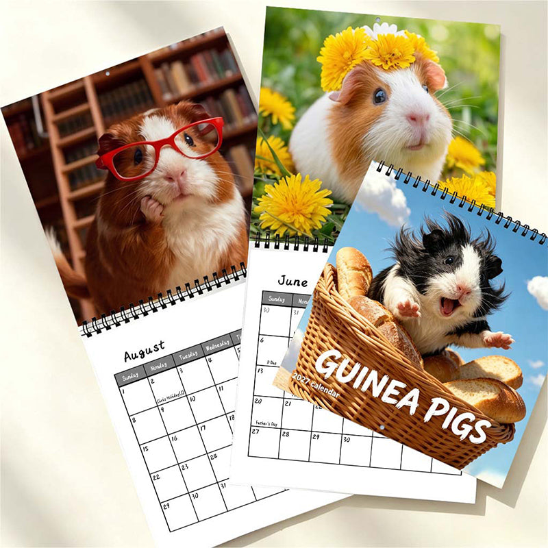 Add Cuteness Instantly! 2027 Guinea Pig Wall Calendar