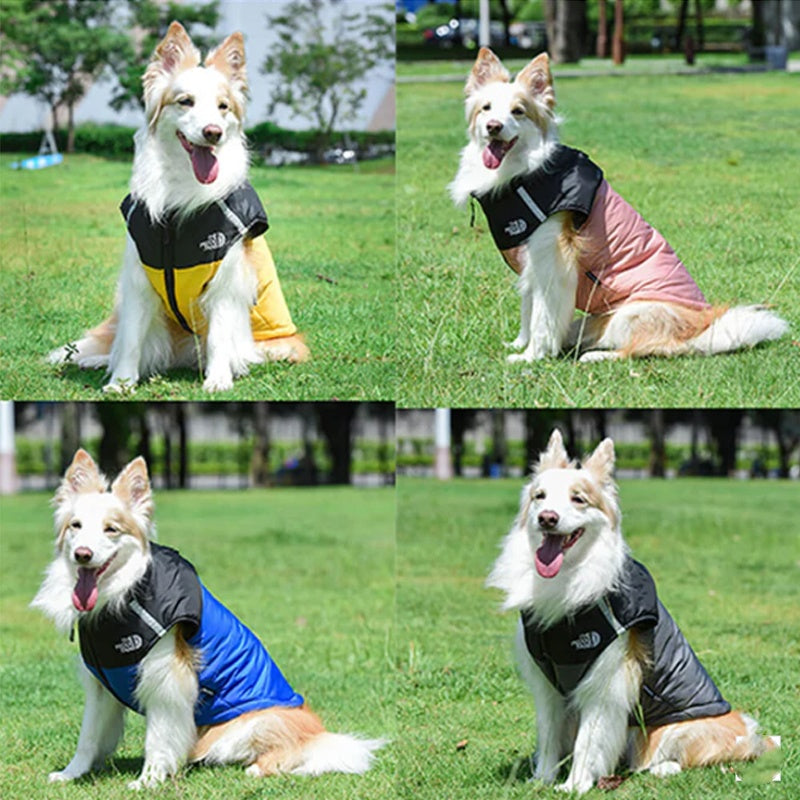 Keep Your Dog Warm Instantly! Reflective Winter Dog Coat with D-Ring