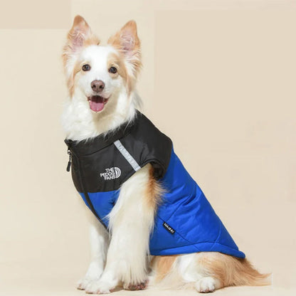 Keep Your Dog Warm Instantly! Reflective Winter Dog Coat with D-Ring