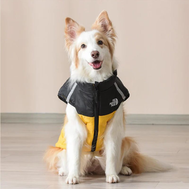 Keep Your Dog Warm Instantly! Reflective Winter Dog Coat with D-Ring