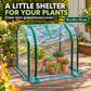 Shield Plants Instantly! Transparent Mini Greenhouse Cover