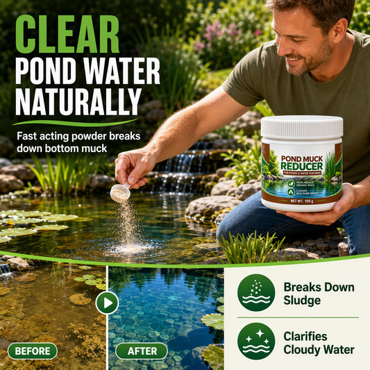 Clarify Pond Water Instantly! Natural Sludge Remover Powder