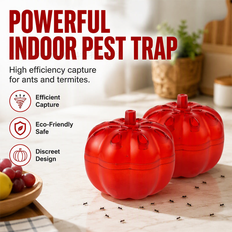 Eliminate Ants & Flies Instantly! Non-Toxic Pumpkin Trap