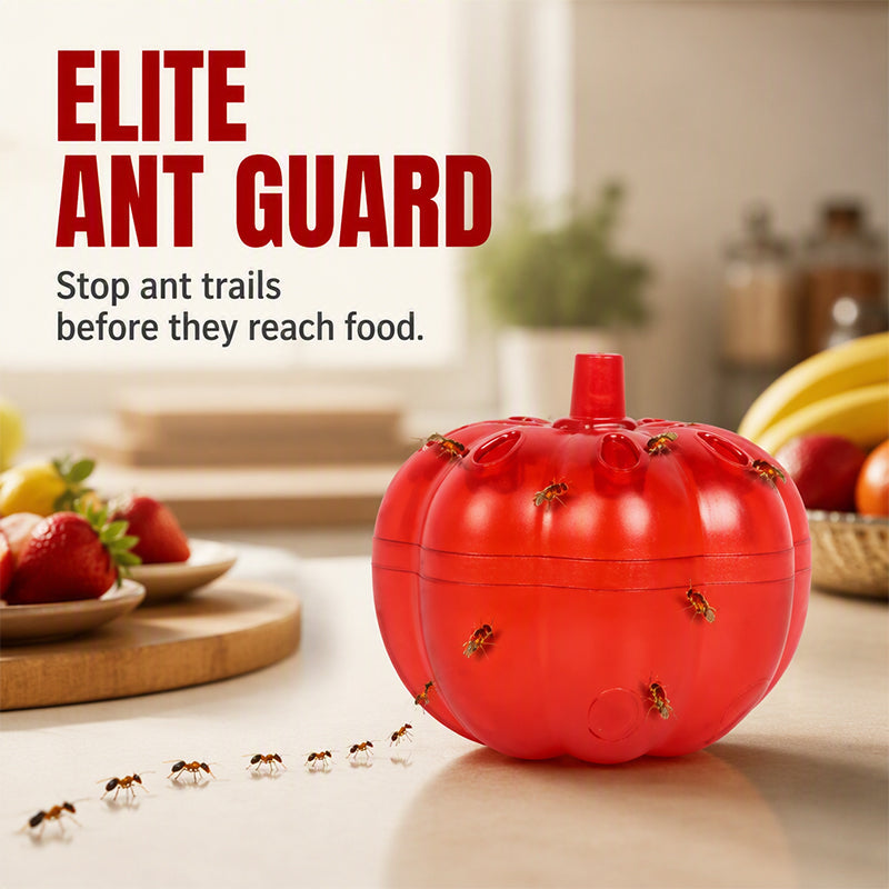 Eliminate Ants & Flies Instantly! Non-Toxic Pumpkin Trap