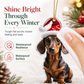 Trim Your Tree Instantly! Shatterproof Acrylic Dachshund Ornament（3-Pack）