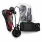 Record Every Angle Instantly! 3-Channel 1080P Car Dash Cam