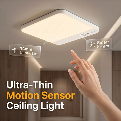 Light Up Instantly! Rechargeable Motion Sensor Ceiling Light