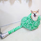 Dry Wet Pets Instantly! Hands-Free Warm Air Pet Drying Bag