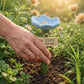 Hydrate Bees Instantly! Flower-Shaped Pollinator Waterer Stake