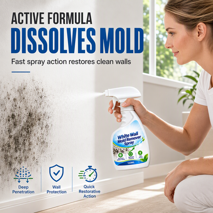 Remove Wall Mold Instantly! Fast-Acting Mildew Remover Spray