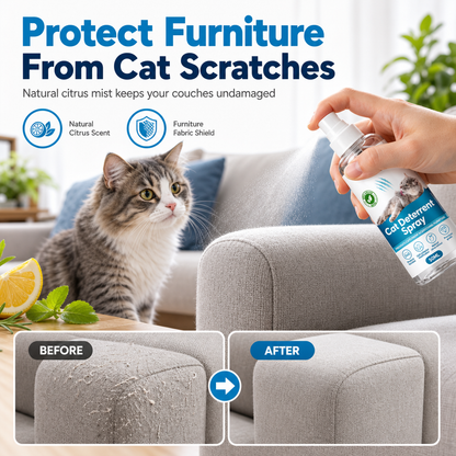 Stop Cat Scratching Instantly! Citrus Deterrent Spray