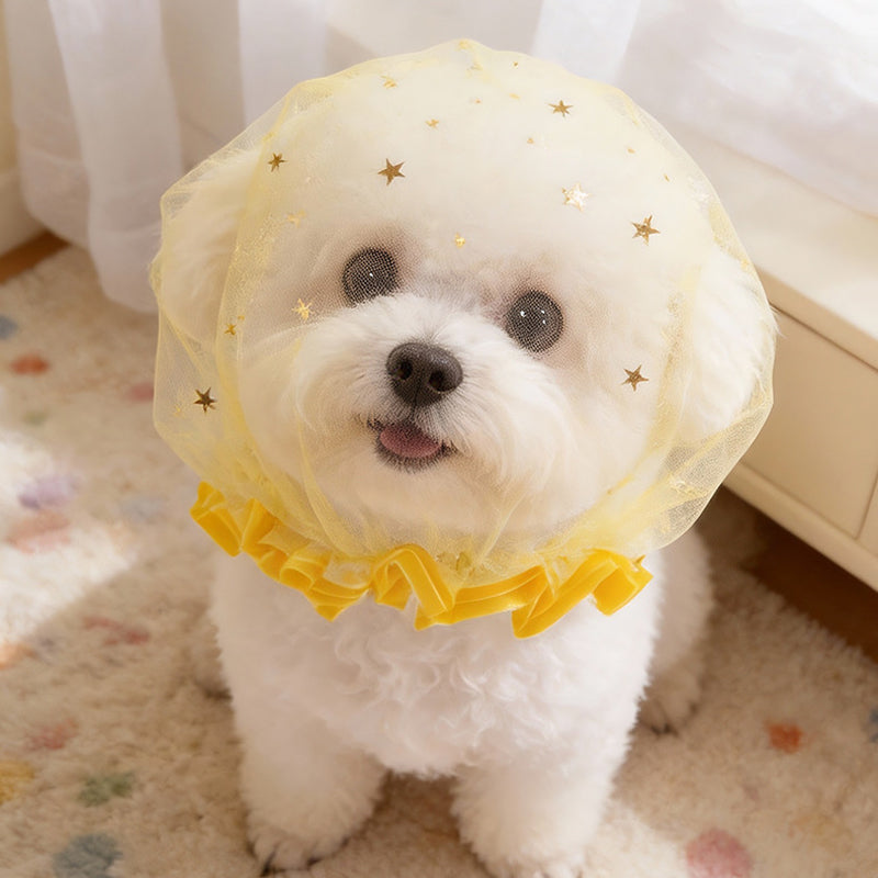 Stop Scavenging Instantly! Breathable Mesh Dog Muzzle