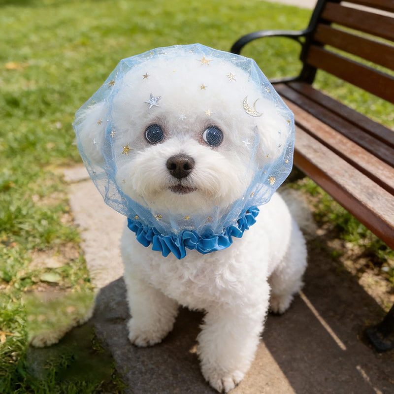 Stop Scavenging Instantly! Breathable Mesh Dog Muzzle