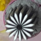Stamp Floral Nails Instantly! One-Press 6-Piece Metal Nail Art Set