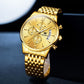 Automatic Mechanical Watch Luxury Gold Watch for Men